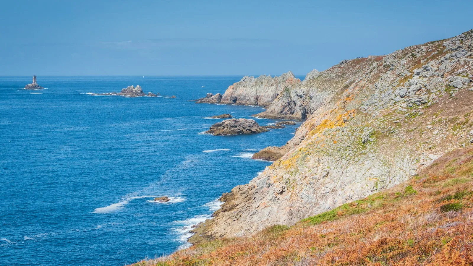 Les Sept-Îles : l'excursion nature au départ de Perros-Guirec