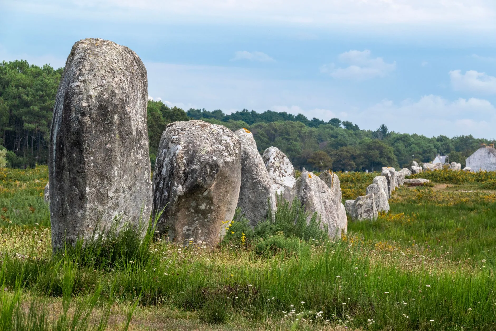 Jour 6 : Carnac et la presqu'île de Quiberon