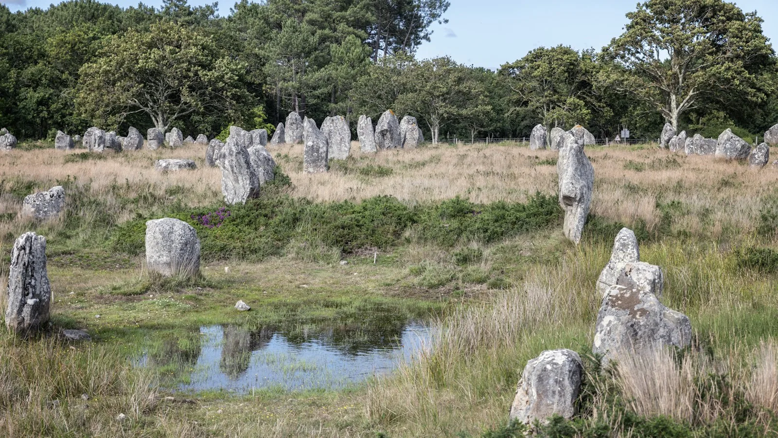 Carnac et les alignements : une excursion depuis Vannes